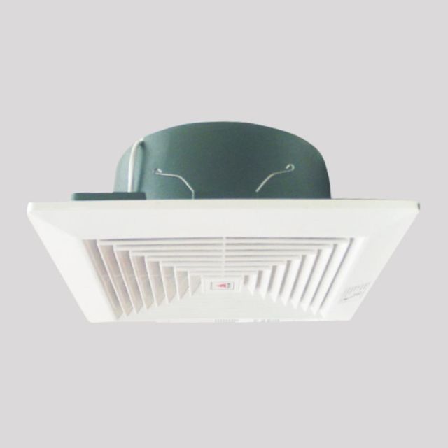 image product content 1