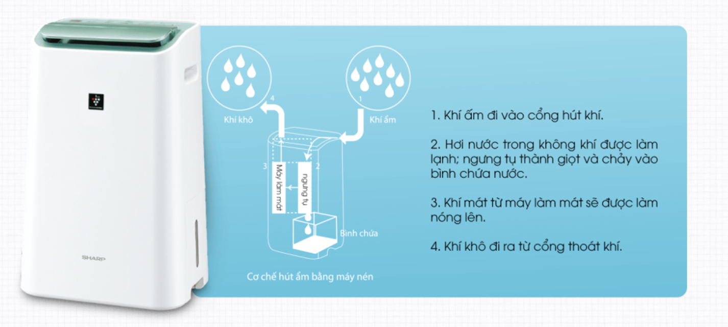 image product content 2