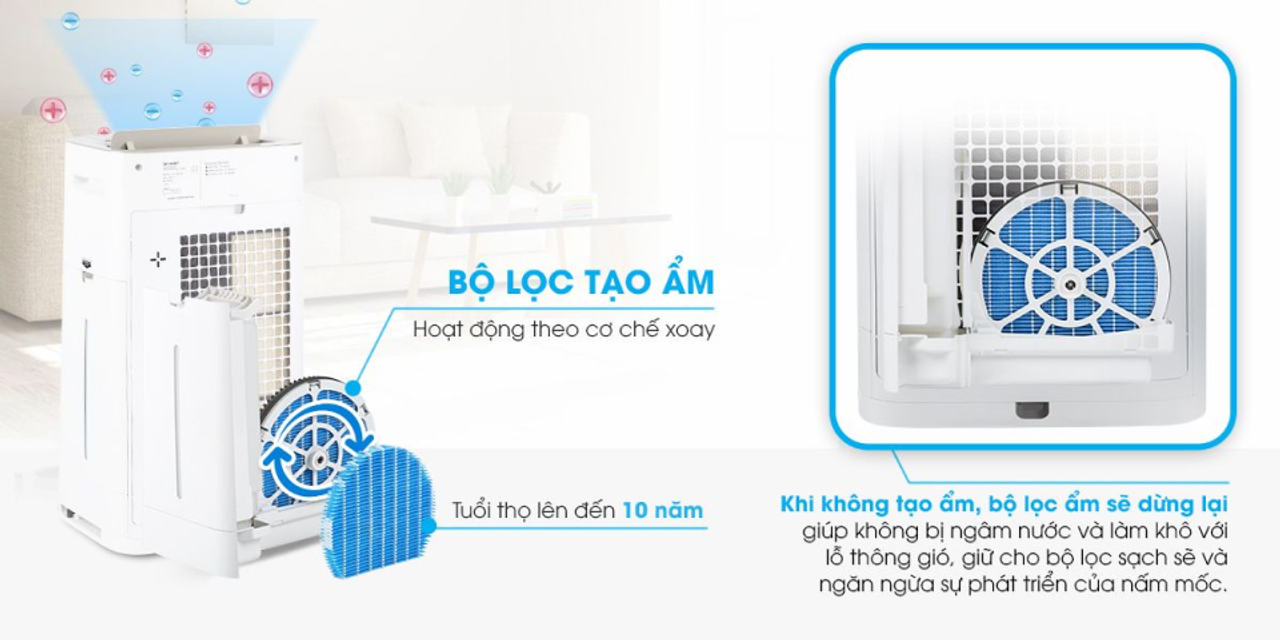 image product content 5