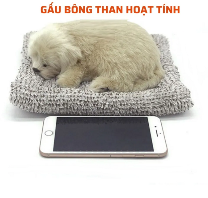 image product content 1