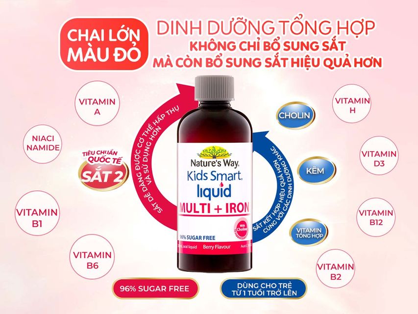Nature's Way Kids Smart Multi Iron Liquid c&ograve;n bổ sung sắt c&ugrave;ng 10 dưỡng chất phức hợp thiết yếu kh&aacute;c như kẽm, choline, c&aacute;c vitamin nh&oacute;m B, vitamin H