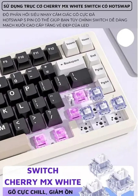 image product content 7