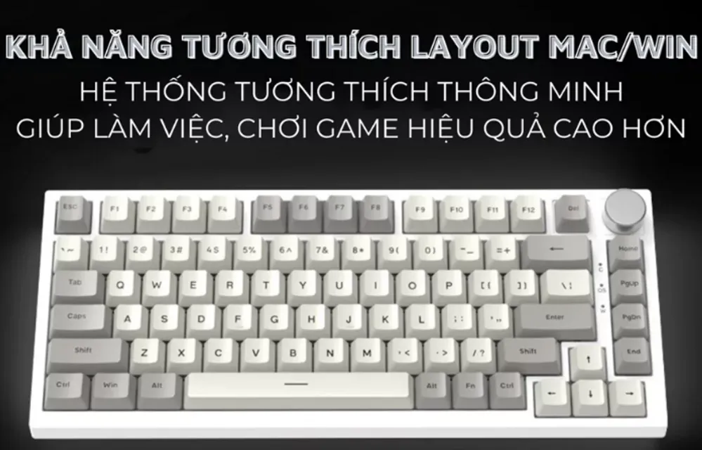 image product content 5