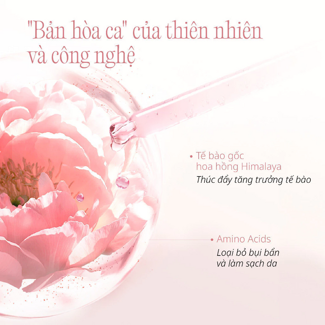 image product content 2