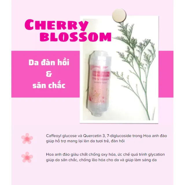 image product content 3