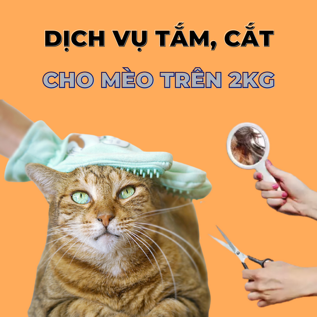 Voucher dịch vụ tắm cắt cho m&egrave;o tr&ecirc;n 2kg 1