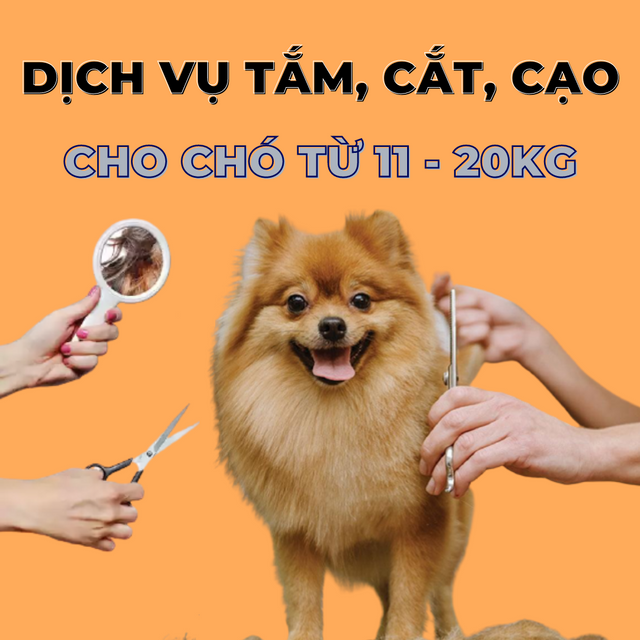 Voucher dịch vụ tắm cắt cạo l&ocirc;ng cho ch&oacute; từ 11kg tới 20kg 1