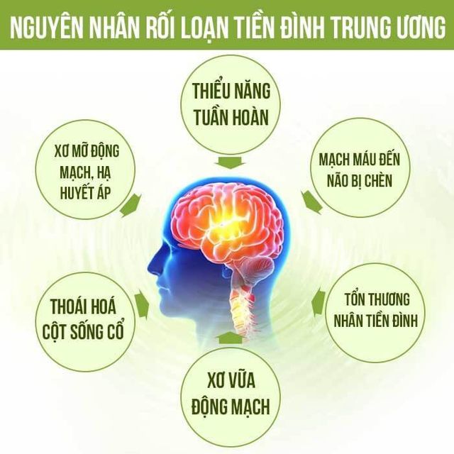 Combo 5 hộp Thực Phẩm Bảo Vệ Sức Khỏe Hoạt Huyết TPN 2