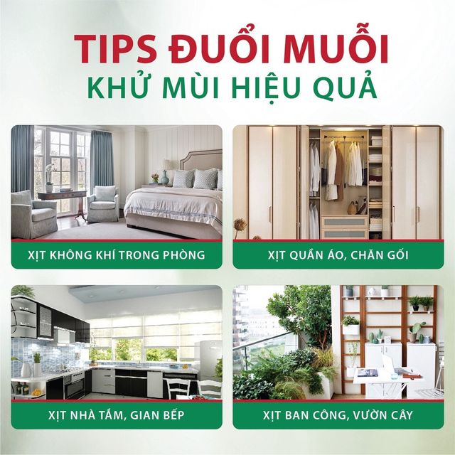 image product content 4