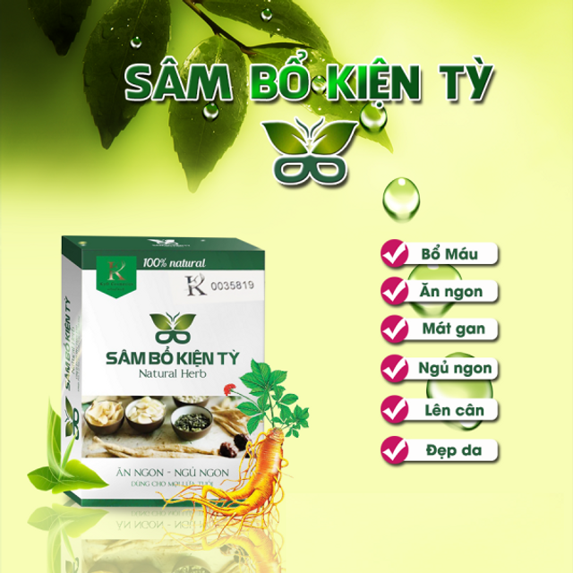 S&acirc;m Bổ Kiện Tỳ hỗ trợ tăng c&acirc;n 3