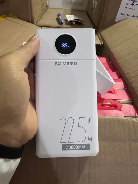 Sạc Dự Ph&ograve;ng PALMBIRD 30000mAh