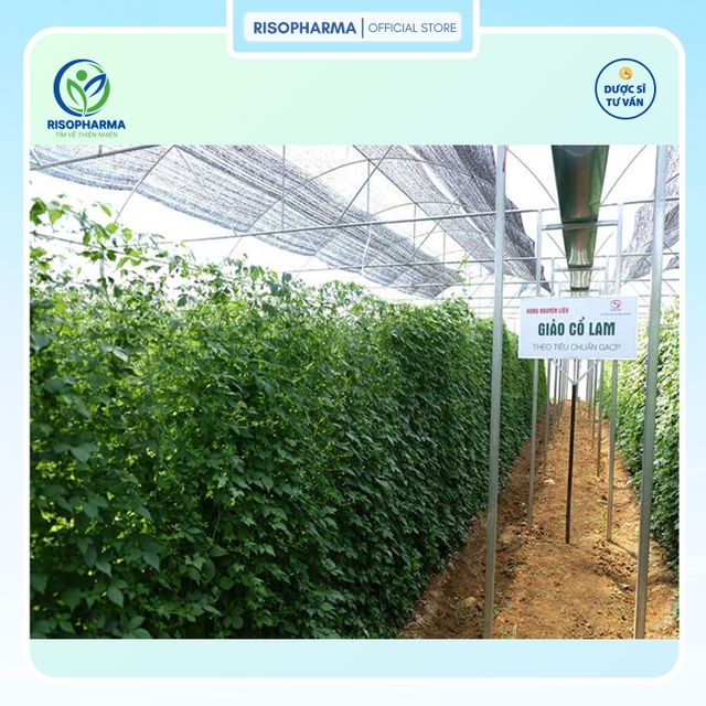 image product content 9