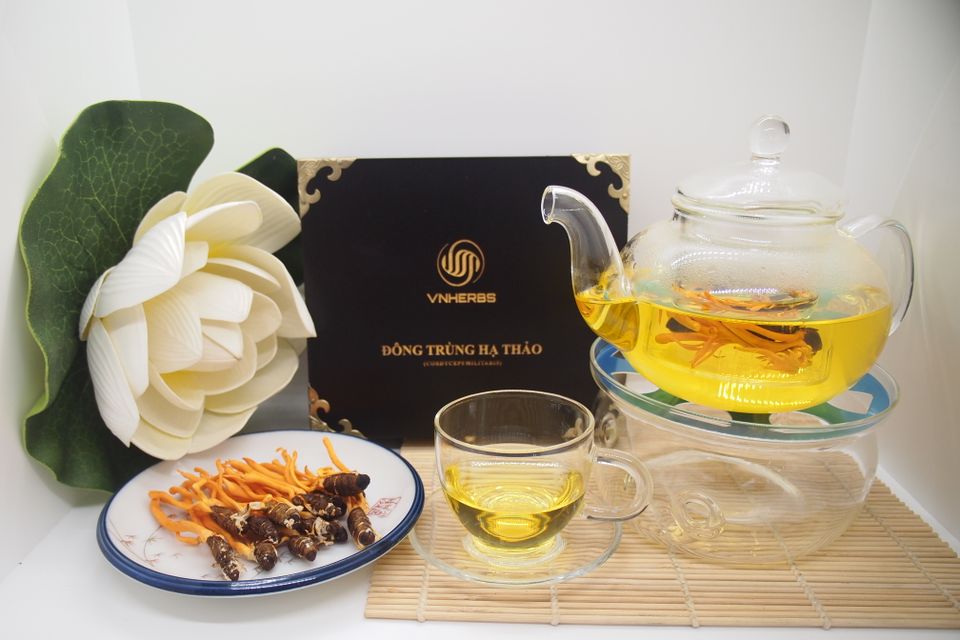 Đ&ocirc;ng Tr&ugrave;ng Hạ Thảo K&yacute; Chủ Nhộng