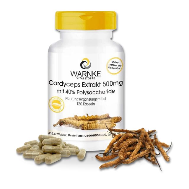Vi&ecirc;n Uống Đ&ocirc;ng Tr&ugrave;ng Hạ Thảo Warnke Cordyceps Extrakt - 120 Vi&ecirc;n