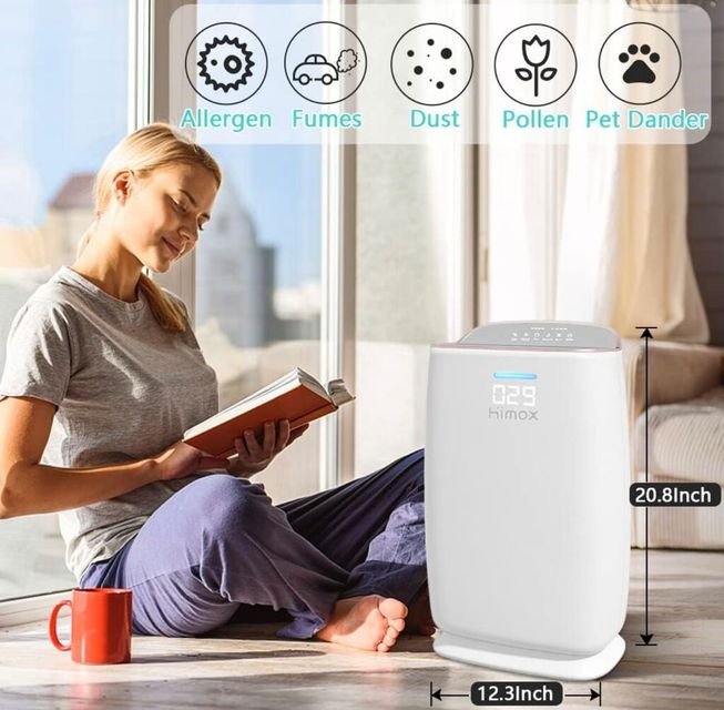 M&aacute;y lọc kh&ocirc;ng kh&iacute; HIMOX H04 với thiết kế hiện đại