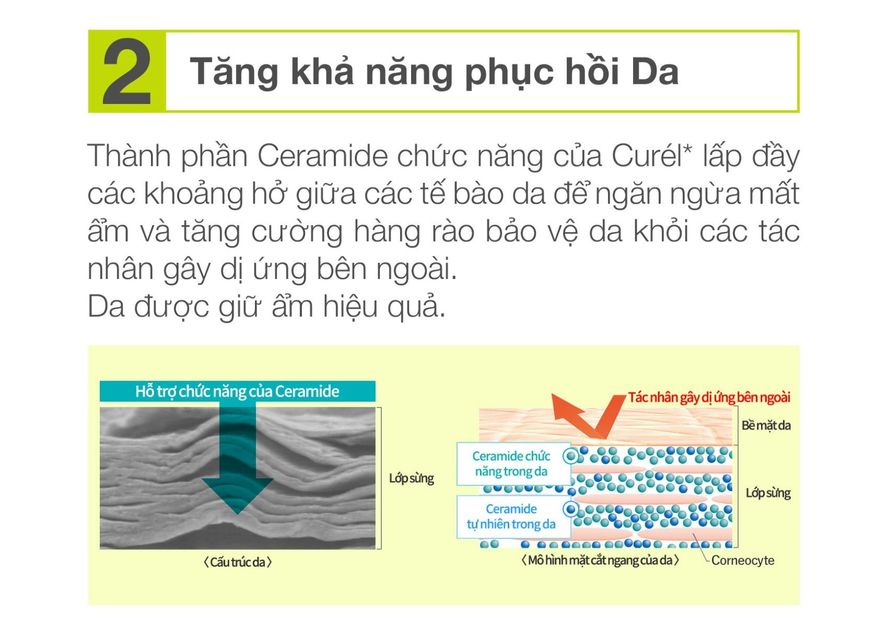 Gel Dưỡng Da Curél Dành Cho Da Dầu 120ml 4