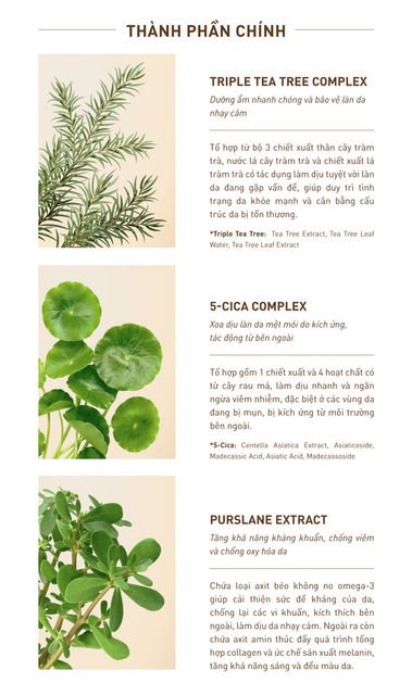 Nước Tẩy Trang S.O.B Tea Tree Cleansing Water chứa phức hợp chiết xuất tr&agrave;m tr&agrave; gi&uacute;p l&agrave;m dịu l&agrave;n da đang gặp vấn đề v&agrave; duy tr&igrave; t&igrave;nh trạng da khoẻ mạnh.