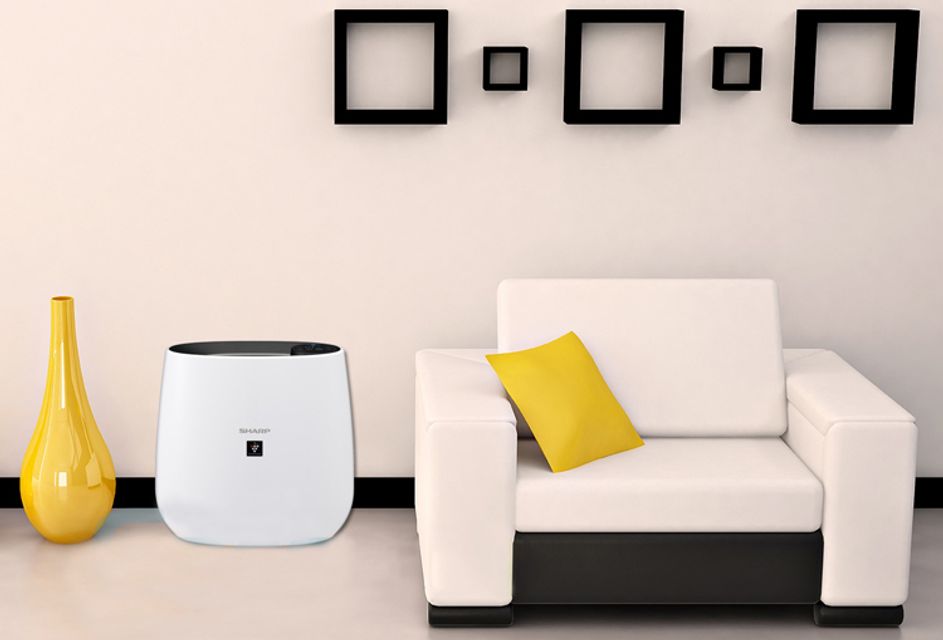 Máy lọc không khí Sharp FP-J30E-B 1
