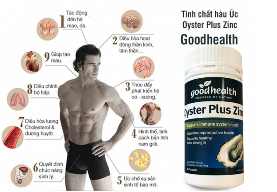 [Mẫu mới] Tinh chất h&agrave;u Oyster Plus Zinc Goodhealth &Uacute;c - Ch&iacute;nh h&atilde;ng 1
