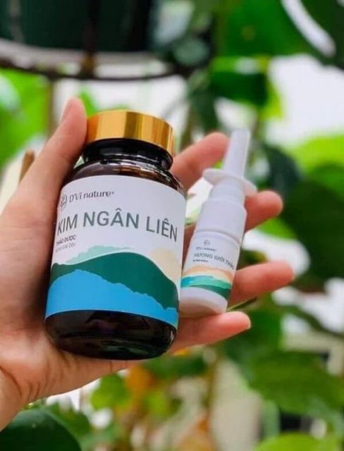 Kim ng&acirc;n li&ecirc;n DVi nature hỗ trợ thanh lọc cơ thể do vi khuẩn nấm ngứa 3