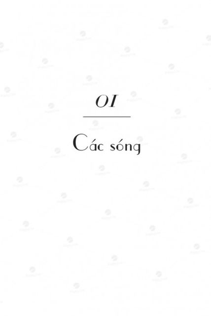 image product content 6
