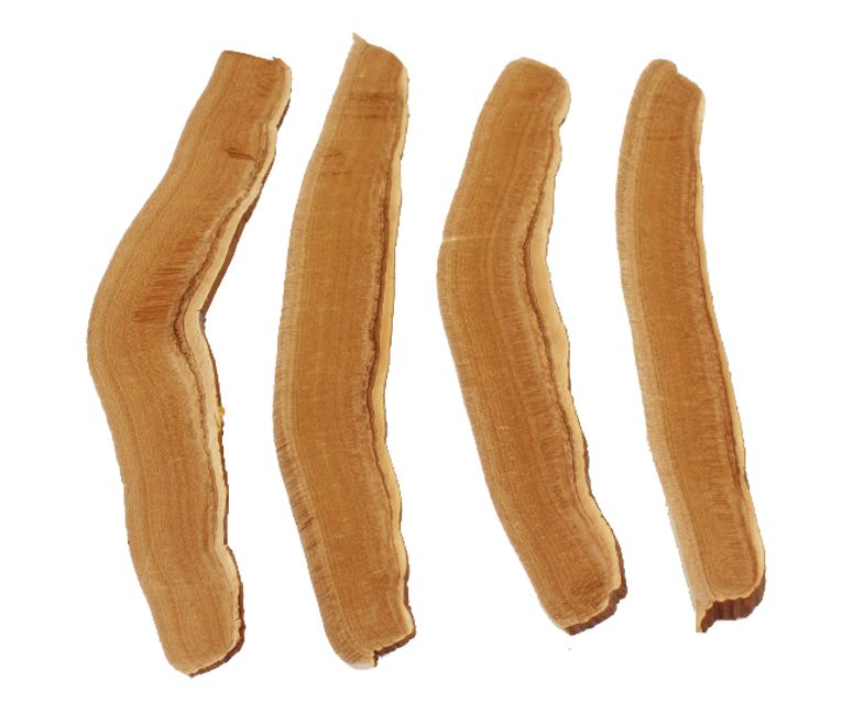 Nấm Linh Chi Thái Lát Nhập Khẩu Hàn Quốc (500g) 2
