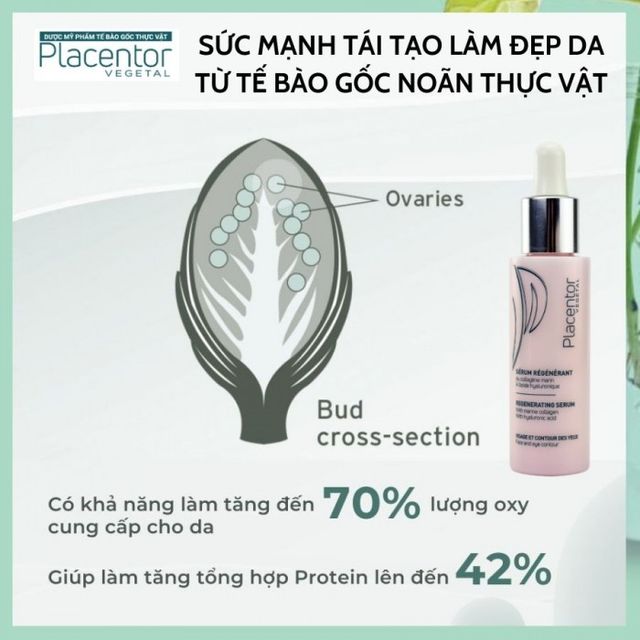 image product content 1