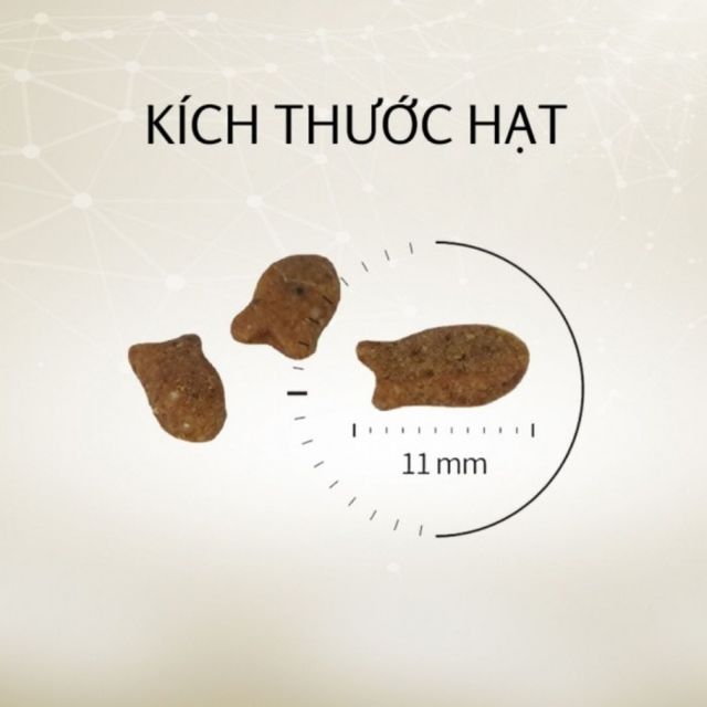 image product content 1