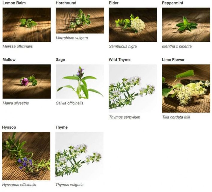 image product content 3