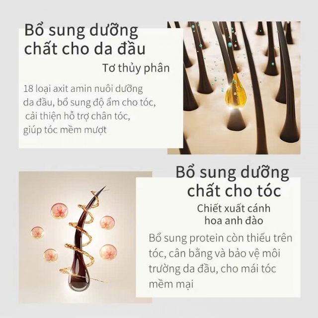 Dầu Gội Pharma 21  Kiềm Dầu 600ml Nhập Khẩu Nhật Bản 3