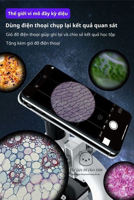 image product content 2