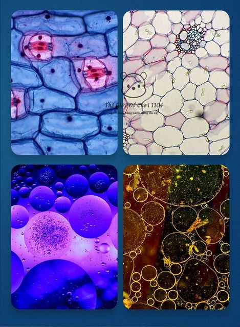 image product content 7