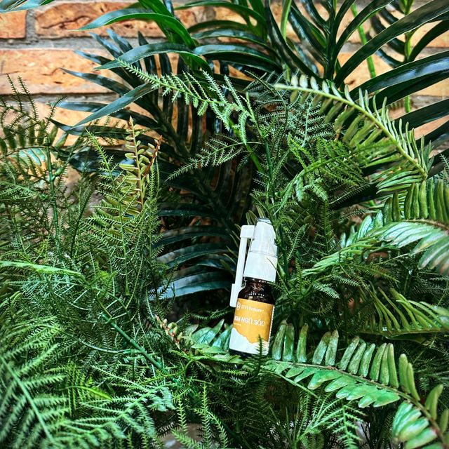 Kim ngũ sắc D'Vi nature hỗ trợ xoang mũi