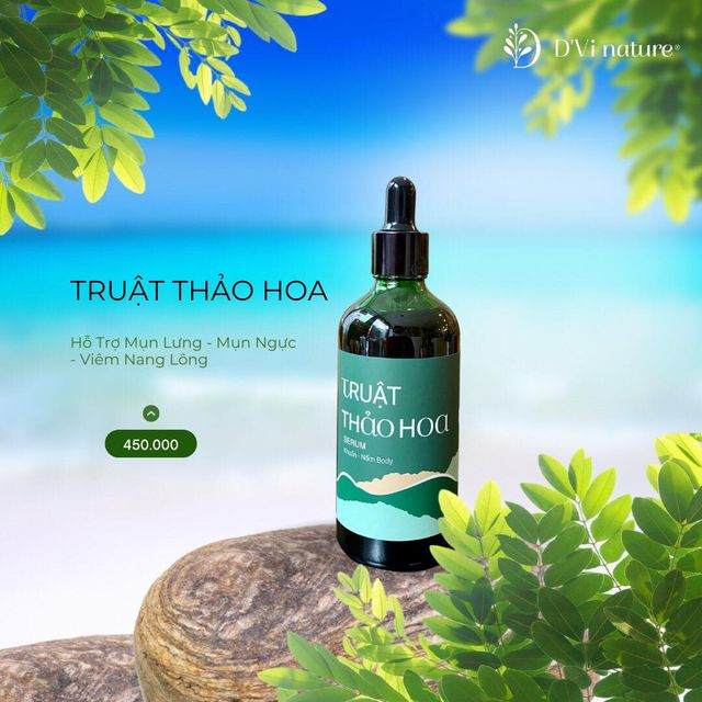 Truật thảo hoa D'Vi nature