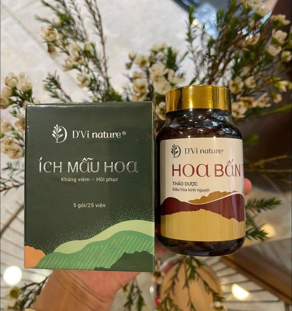 &Iacute;ch mẫu hoa D'Vi nature 3