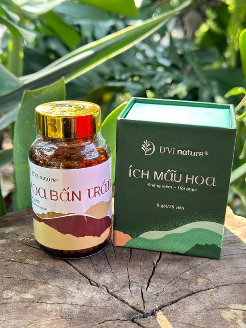 &Iacute;ch mẫu hoa D'Vi nature 5