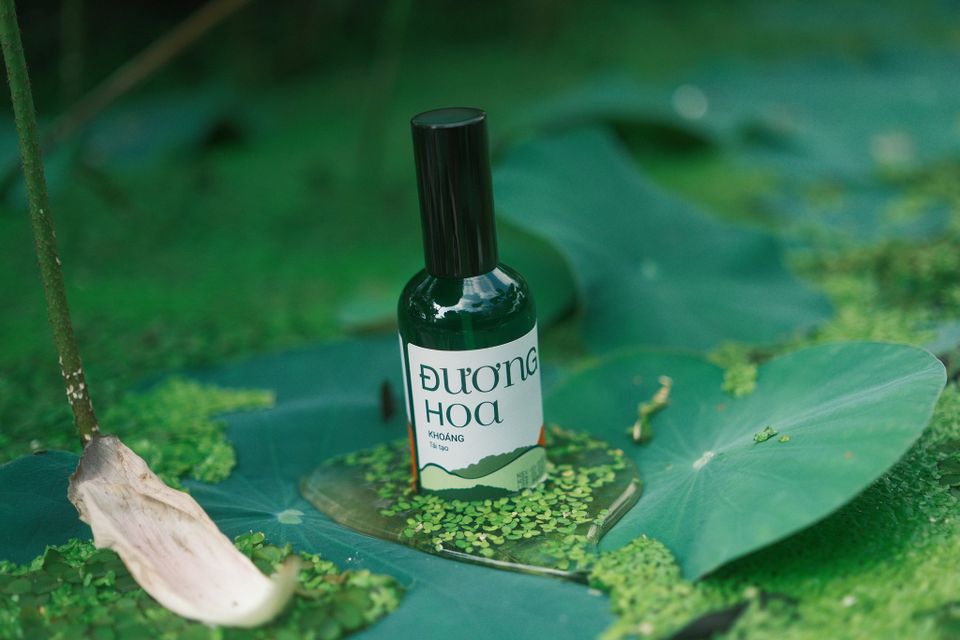 Đương quy hoa D'Vi nature