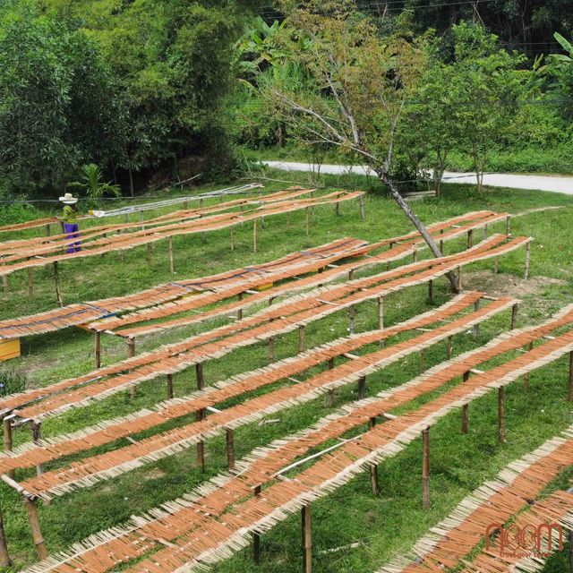 Nhang trầm hương Noom