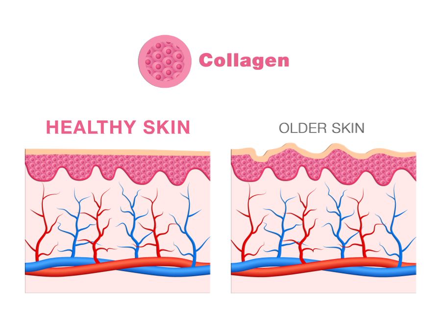 Th&agrave;nh phần v&agrave; Hướng dẫn sử dụng Bột Uống Bổ Sung Collagen