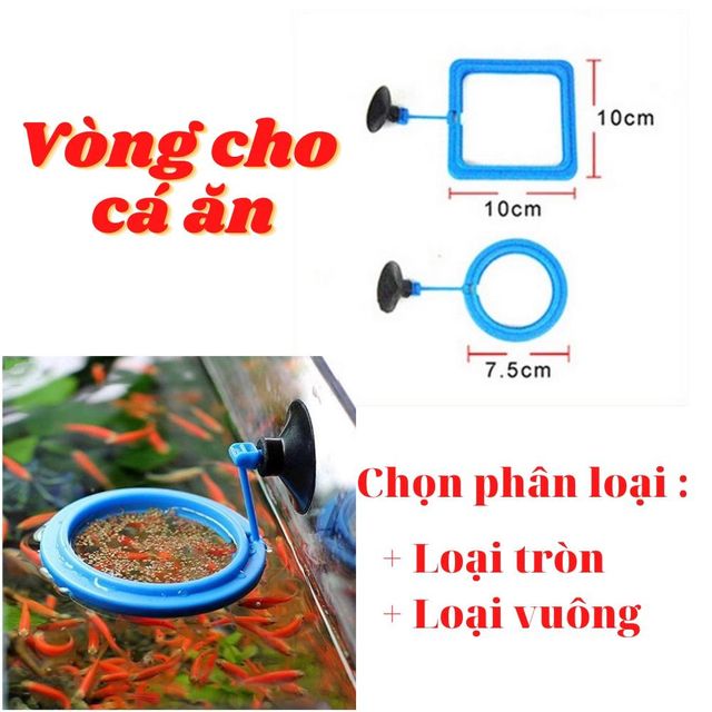 image product content 1