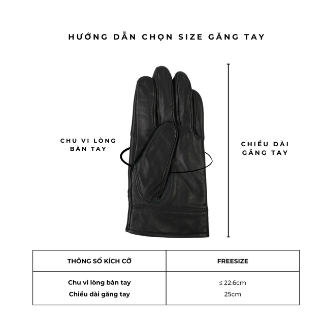 image product content 1