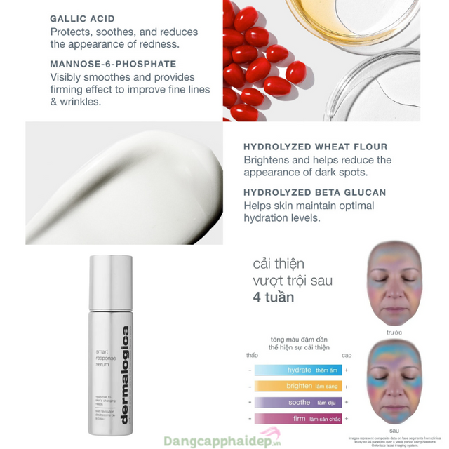 Huyết Thanh Dermalogica Smart Response Serum