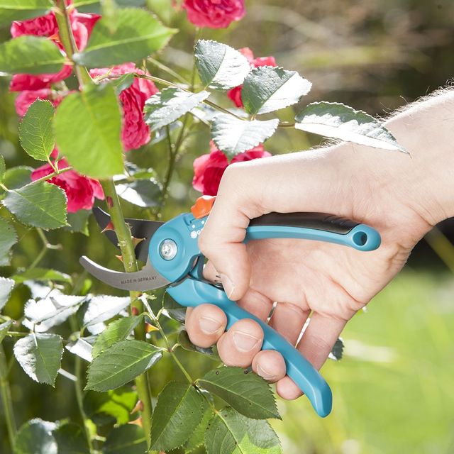 K&eacute;o cắt c&agrave;nh Gardena 08857-20