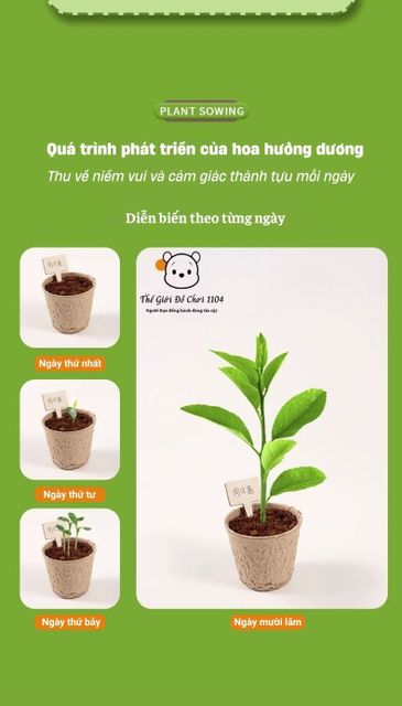 image product content 6