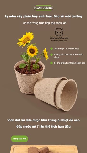 image product content 8