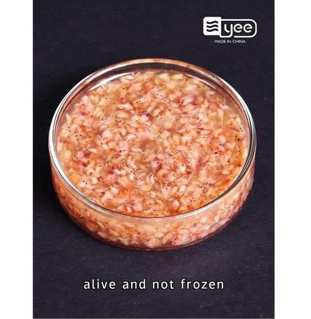 image product content 1