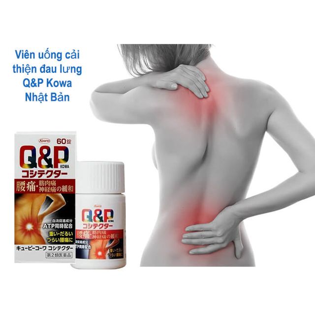Vi&ecirc;n uống chống đau lưng Q&P Kowa Nhật Bản