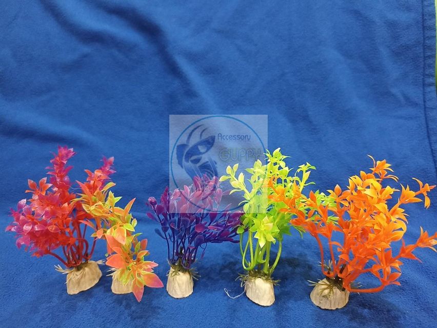 image product content 1