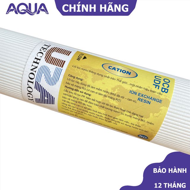 L&otilde;i lọc Cation