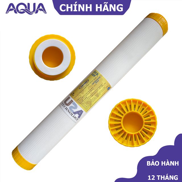 L&otilde;i lọc Cation